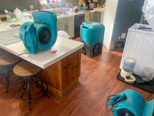 Water damage restoration mold remediation in Hudson, FL