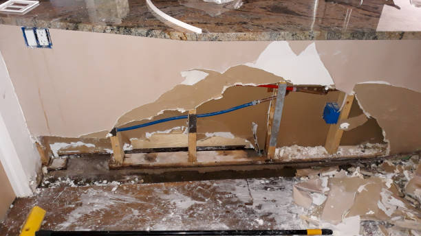 Best Flooded house restoration  in Hudson, FL