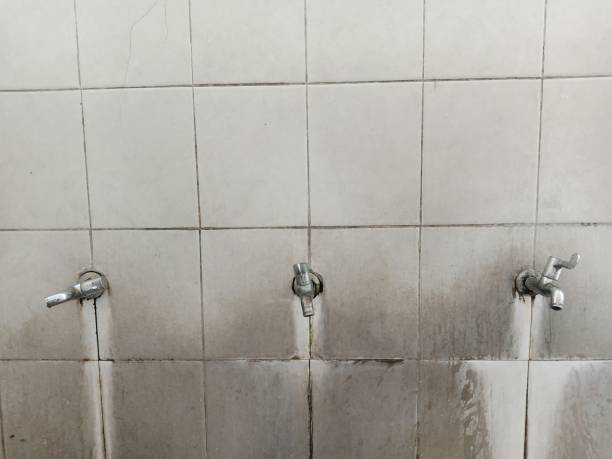 Best Water damage restoration near me  in Hudson, FL