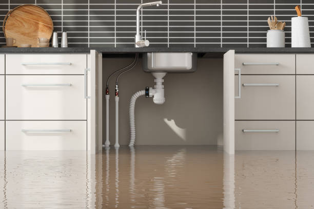 Best Commercial water damage restoration  in Hudson, FL